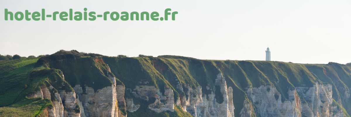 hotel-relais-roanne.123corsica.com